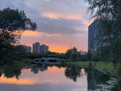 -同济大学(嘉定校区)