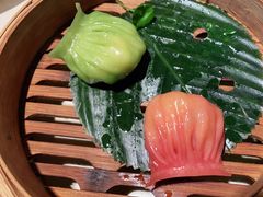 -点都德·毕德寮
