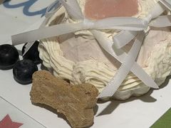 -趣多多宠物公园·宠物训犬学校·宠物寄养