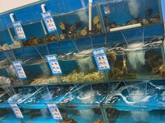 -苏大嘴蒸汽海鲜·海胆蒸饺(中山广场店)