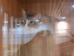 -白兔子密室(长寿路店)