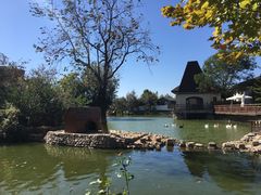 -静之湖湖畔餐厅