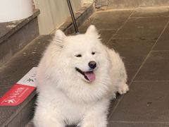 -韵味湘肴·小炒黄牛肉(五一广场美食地标店)