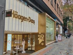 -哈根达斯(武汉天地店)