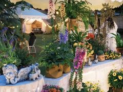 -24H COLOR咖啡厅(惠州金山湖店)