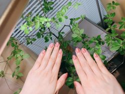 -LADYGIRL·Nail·Lash·美甲美睫