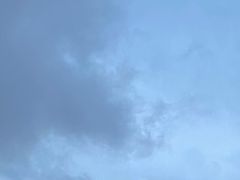 -老红桥炸灌肠牛肚锅烧烤(定福庄店)