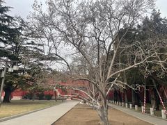 -北京市劳动人民文化宫(太庙)