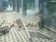 -西安秦岭野生动物园