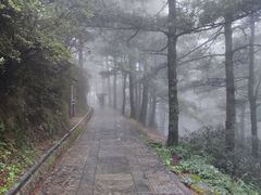 -苍山感通索道