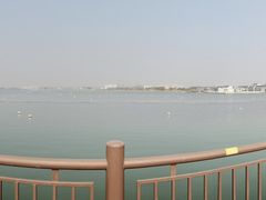 -鹅湖玫瑰文化园