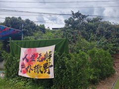 -桃源山庄·水蜜桃采摘·柴火鸡·烧烤团建(龙泉山店)