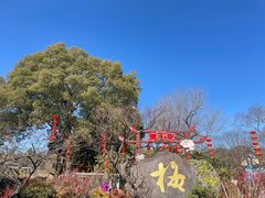 -无锡梅园公园