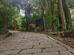 -东莞市大岭山森林公园