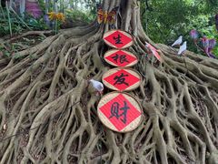 -三水森林公园