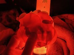 -华熙生物·润百颜ECM中心