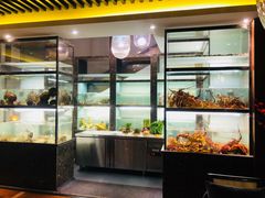 -甄御•海鲜新青岛菜(麦岛店)