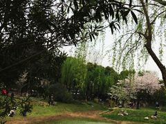 -堤角公园