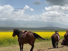 -青海湖国家重点风景名胜区