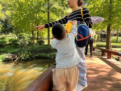 -中山市树木园