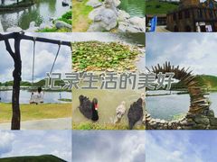 -仰天湖大草原