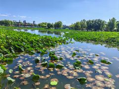 -长春市南湖公园