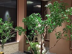 -松鹤楼(狮山永利广场店)