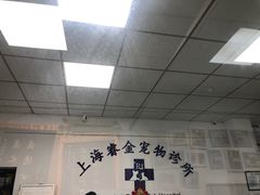 -睿金宠物医院·CT·肿瘤·骨外科