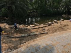 -苏州河梦清园环保主题公园