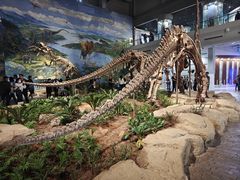-自贡恐龙博物馆