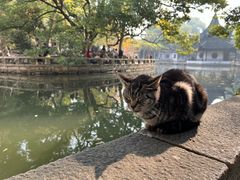 -西园戒幢律寺