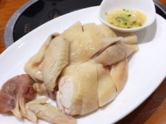 招牌启香鸡-启香鸡私房菜(湖景店)