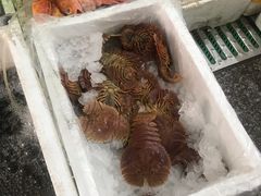 -龙宫海鲜楼(长乐漳港店)