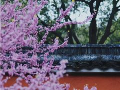 -南北湖风景区