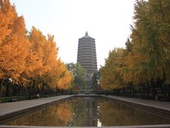 -玲珑塔公园