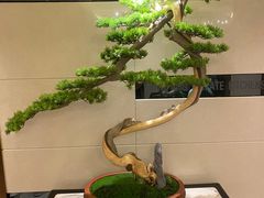 -芳芳私房菜·精做淮扬菜(承德路店)