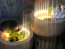 -苗方清颜·祛痘皮肤管理