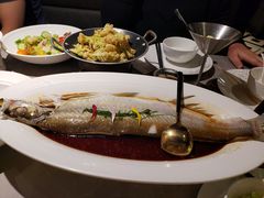 -醉庐·新上海菜(南京西路店)