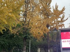 -芒青柠·鲜果甜品茶(双中店)