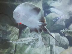 -苏州海洋馆