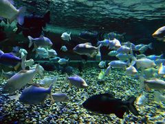 -成都浩海立方海洋公园