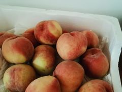 -东方鼎信农副产品交易中心