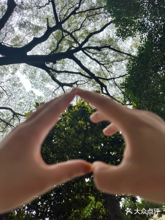 南京中国近代史遗址博物馆(南京总统府)图片