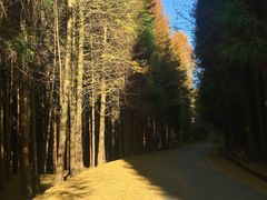-山王坪喀斯特国家生态公园