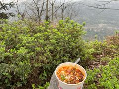 -铁山坪森林公园
