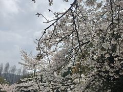 -杭州少年儿童公园