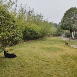-长沙小顽国景区
