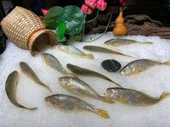 -芭菲盛宴·环球美食(锦城万达广场店)