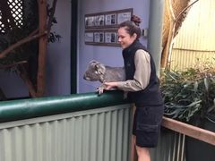 -费瑟代尔野生动物园