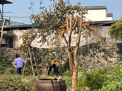 -西溪南古村落景区